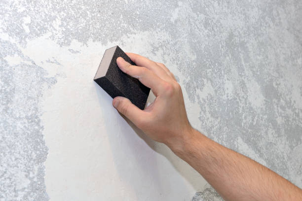 Best Emergency Mold Remediation  in Pulaski, WI