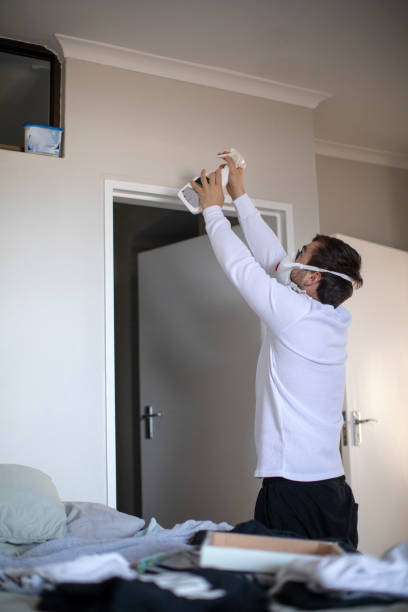 Best Attic Mold Removal  in Pulaski, WI