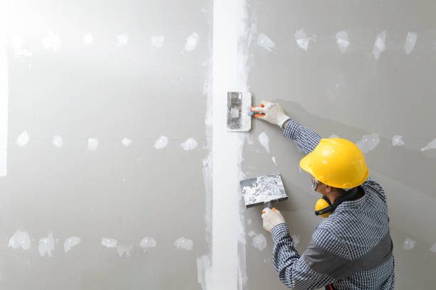 Trusted Pulaski, WI Mold Removal Experts
