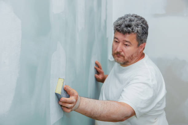 Best Water Damage & Mold Remediation  in Pulaski, WI