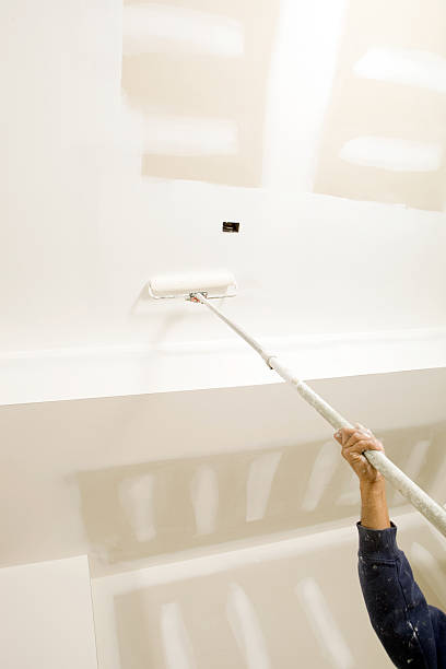 Best Mold Damage Restoration  in Pulaski, WI