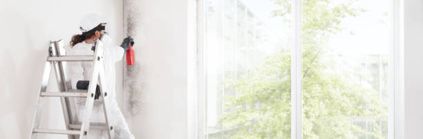 Best Dehumidification Services  in Pulaski, WI